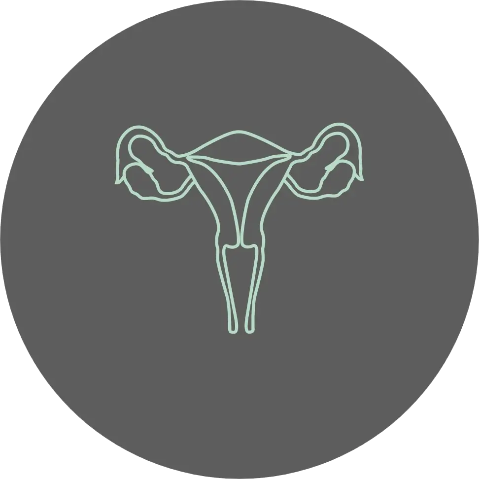 Hindloesning og hjaelp til hindeloesning ikon igennem Privat Jordermoder Camilla Anker i Svendborg på Fyn